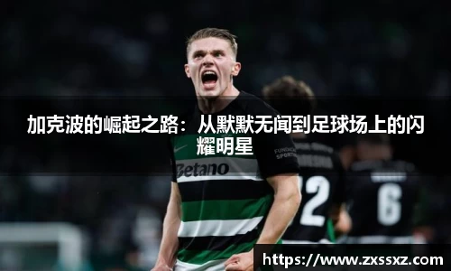 bellbet贝博官网