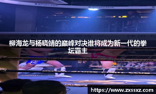 bellbet贝博APP